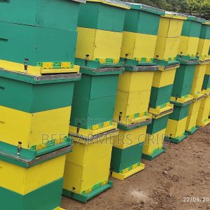 Langstroth Bee Hive